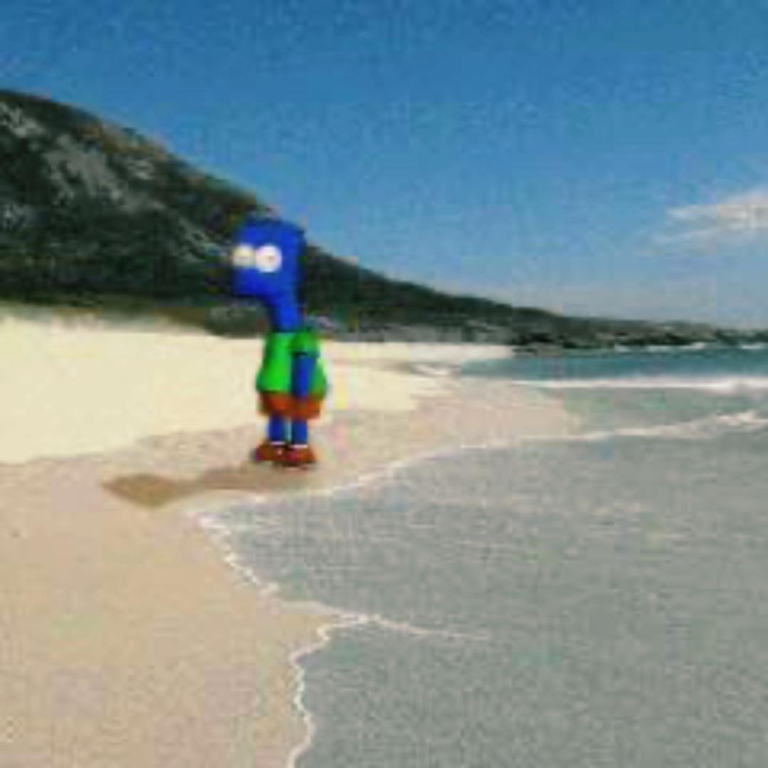 Barf Simmons Beach