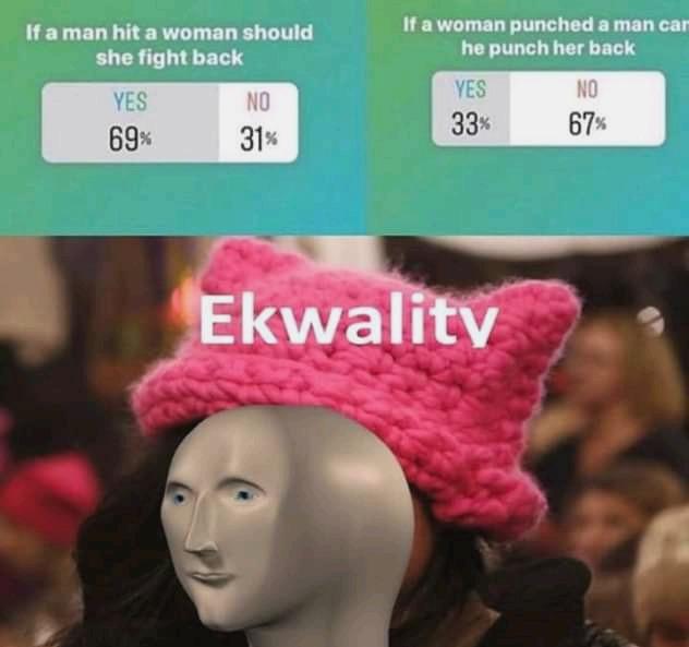 If a man hit a woman should she fight back YES If a woman punched a man can he punch her back YES NO NO 33% 67% 69% 31% Ekwality