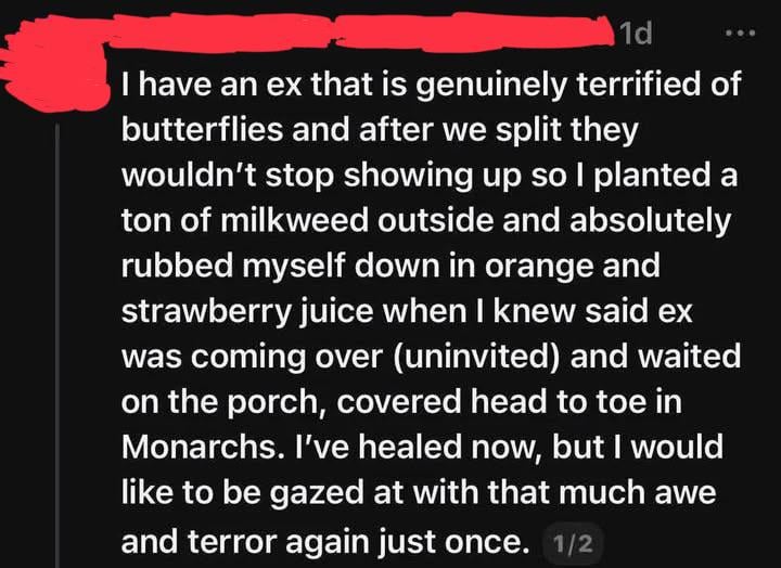 1d I have an ex that is genuinely terrified of butterflies and after we split they wouldn't stop showing up so I planted a ton of milkweed outside and absolutely rubbed myself down in orange and strawberry juice when I knew said ex was coming over (uninvited) and waited on the porch, covered head to toe in Monarchs. I've healed now, but I would like to be gazed at with that much awe and terror again just once. 1/2