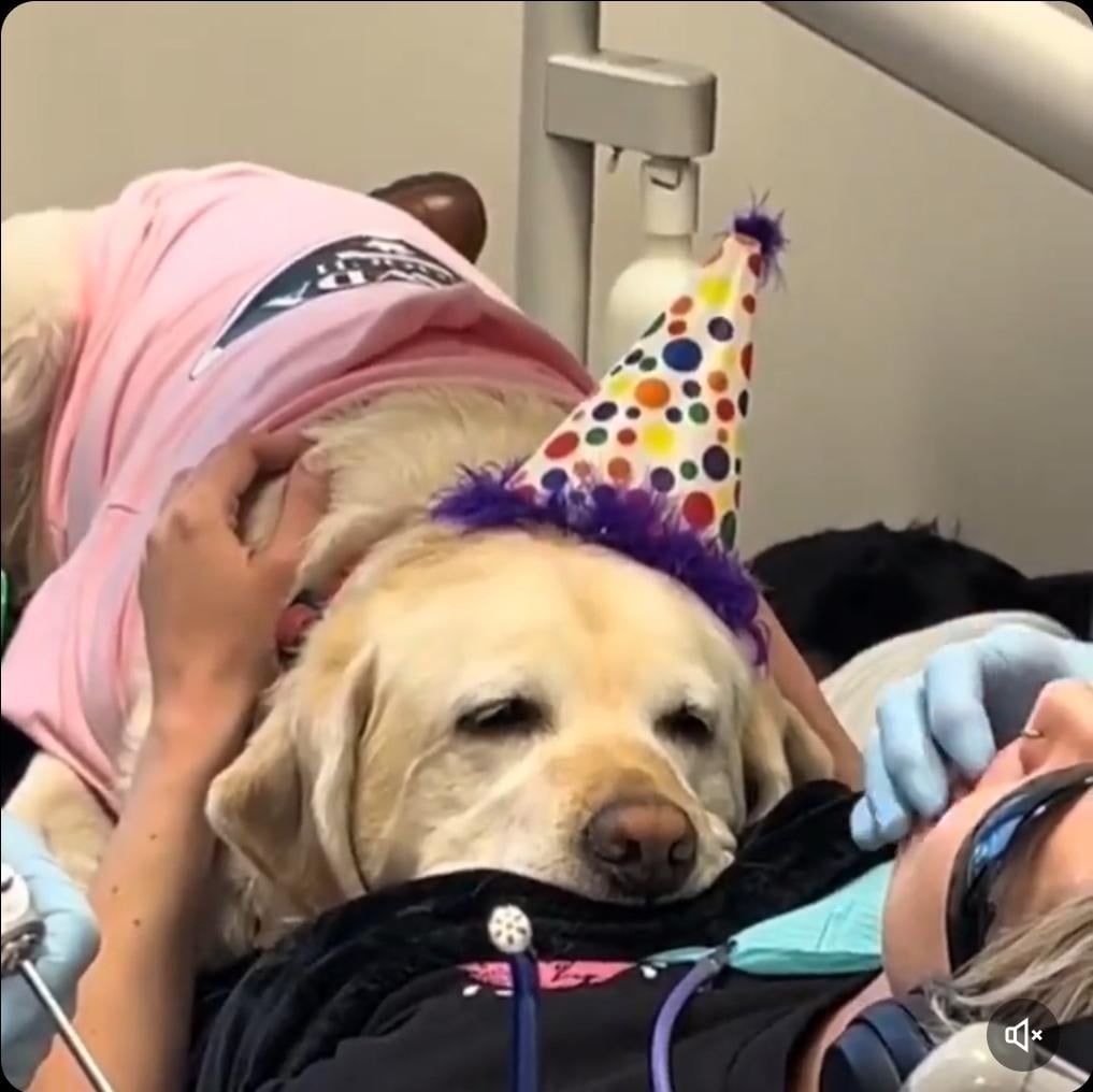 Dentist therapy