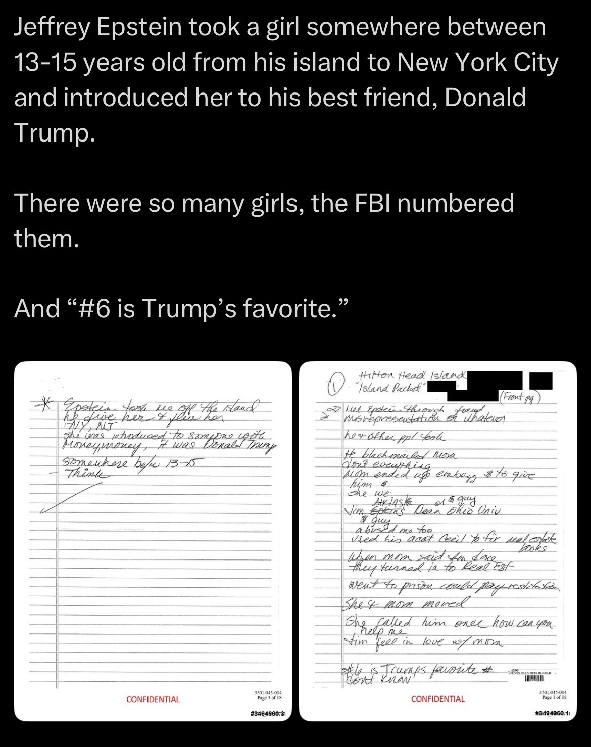 Jeffrey Epstein took a girl somewhere between 13-15 years old from his island to New York City and introduced her to his best friend, Donald Trump. There were so many girls, the FBI numbered them. And ❝#6 is Trump's favorite." * Epstein took me off the stand her & flew her NY, NJ with She was introduced to as Donald Thing Money, money, it was somewhere befu 13-15 Think Hilton Head Island "Island Packet" Front pq Met Epstein through frame ratever misrepresentation of her other ppl took He blackmailed mom dont everything Mom ended up embery & to give him & she we Atkins 01 & guy Jim Epkins Dean Ohio Univ guy abused me too Used his acct Cecil to for real estate When mom said son done they turned in to Real Est books went to prison could pay restituction She & mom moved She called him once how can you help me tim fell in love w/ mon #le is Trumps favorite # don't know! FOLS DESS BLKOLD- CONFIDENTIAL 3501.045-004 Page 3 of 18 #349496073 CONFIDENTIAL 3501.045-004 Page 1 of 18 #3494960711
