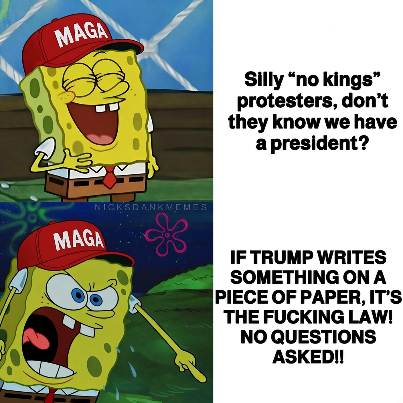 MAGA Silly "no kings" protesters, don't they know we have a president? 2 NICK'S DANK MEMES MAGA IF TRUMP WRITES SOMETHING ON A PIECE OF PAPER, IT'S THE F------ LAW! NO QUESTIONS ASKED!!