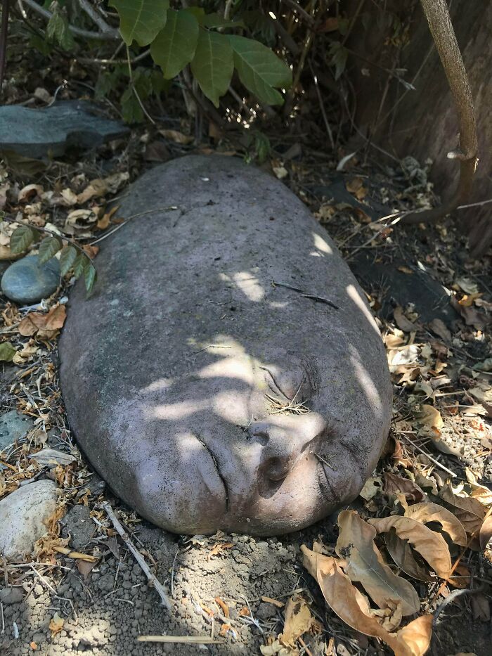 This garden stone