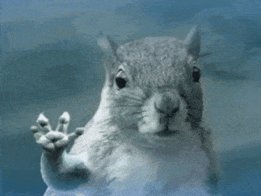 Tornado Squirrel GIF