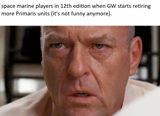 space marine players in 12th edition when GW starts retiring more Primaris units (it's not funny anymore).