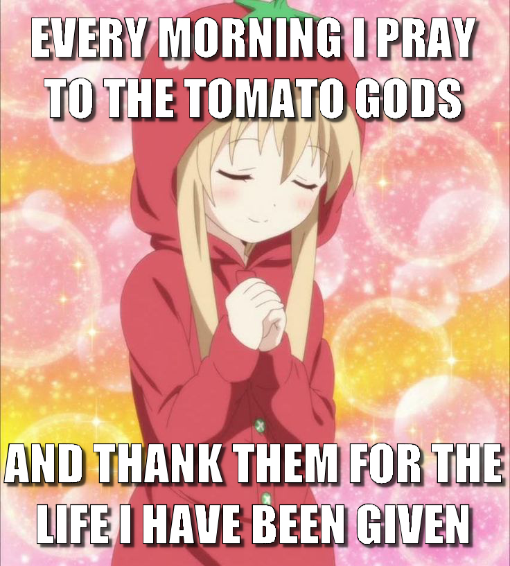 EVERY MORNING I PRAY TO THE TOMATO GODS AND THANK THEM FOR THE LIFE I HAVE BEEN GIVEN