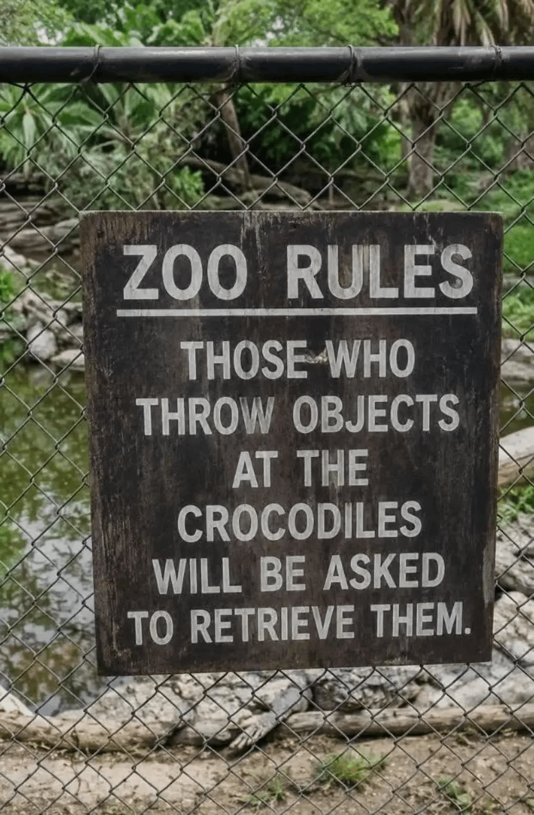 ZOO RULES THOSE WHO THROW OBJECTS AT THE CROCODILES WILL BE ASKED TO RETRIEVE THEM.