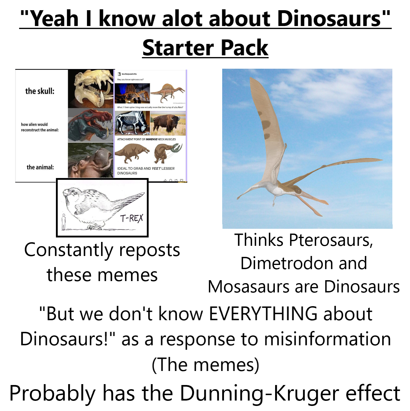 "Yeah I know alot about Dinosaurs" Starter Pack