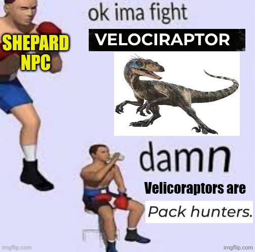 He didn't expect reinforcements to be hiding. RIP | /r/dndmemes