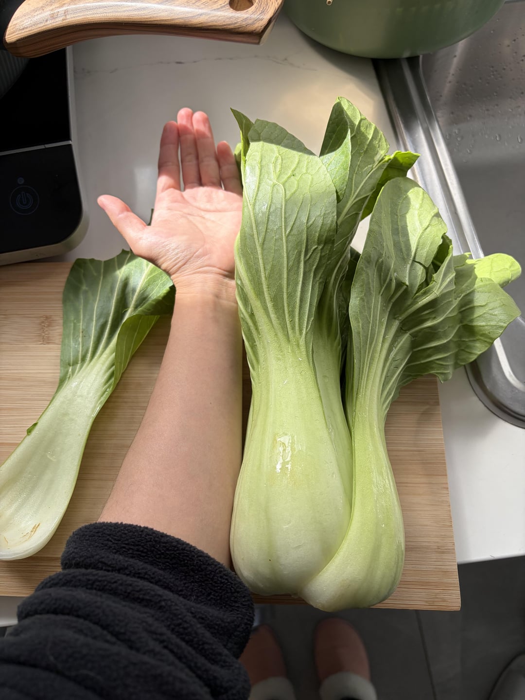 This bok choy