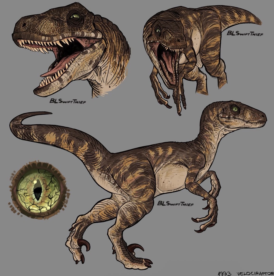 BLSWIFT THIEF BLSWIFT THIEF BLSWIFT THIEF 1993 VELOCIRAPTOR