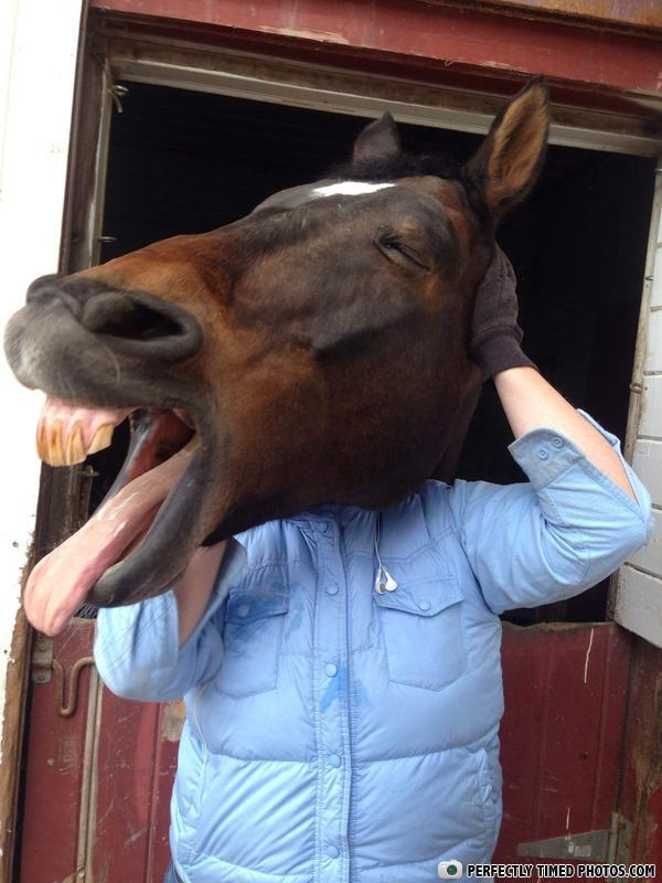 PERFECTLY TIMED PHOTOS.COM