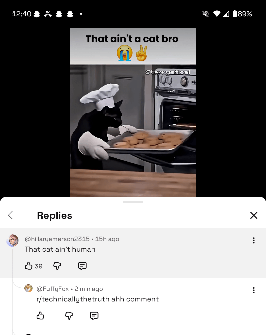 12:40 ← Replies That ain't a cat bro 189% Starrystical @hillaryemerson2315 • 15h ago That cat ain't human B39 @FuffyFox • 2 min ago r/technicallythetruth ahh comment B ✗ ÷