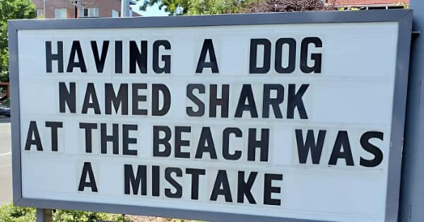 HAVING A DOG NAMED SHARK AT THE BEACH WAS A MISTAKE