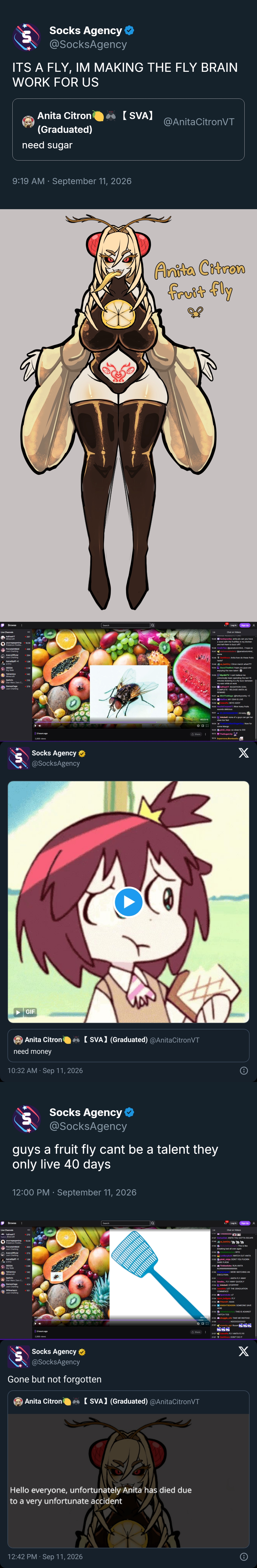 บ Socks Agency @SocksAgency ITS A FLY, IM MAKING THE FLY BRAIN WORK FOR US Anita Citron 【SVA】 @Anita CitronVT (Graduated) need sugar 9:19 AM ⚫ September 11, 2026 Browse Live Channels AdfreeVT Minecraft 267 yourragegaming 18.5K Pokémon FireRe... PorcelainMaid Just Chatting AzeruOfficial Just Chatting AstralSpiff +1 486 1.9K GTFO GEEGA Big Walk Yahlamice 140 Minecraft Qathrin 218 Star Wars Zero C... GamesCage 379 Just Chatting | 3 hours ago 2,866 views Socks Agency @SocksAgency GIF Search Anita Citron Fruit Fly Log In Sign Up & Chat on Videos 15:46 honkyconky: anita pls can you have a word with the fruitflies in my kitchen and tell them to buzz off? 15:46 AzalinTea: @paradoxicmind. I hope so 15:47 darknessbladers: @paradoxicmind. same 15:48 ZenViruzz: Anita how do these fruits taste? 15:48 aa batt3ry: Citron merch when??? 15:54 GucciTheMod: hope you guys are enjoying the new talent 15:56 MyrdinTV: I cant believe Ive unironically been spending the last 15 minutes listening to a fly buzz between my ears while at work 15:56 AdfreeVT: BUGATHON GOAL COMPLETE - RELEASE ANITA AS REWARD MintTheMage: @honkyconky +2 15:57 15:58 Malfina: MY OSHI IS LIVE 15:59 Zebraffe: HEYO ADDY 16:00 NoctisCorpseVT: Wow many fruits sounds delicious 16:01- Hi Addy 00:23:15 16:03 Inkobell: none of u guys can get her shes too fast 16:04 : Now for some Mango 16:05 pinki_ninja: so close to 200 Share 16:13 TheSugarLily: 16:14 SupernovaJBombastic: Anita Citron need money 10:32 AM - Sep 11, 2026 【SVA】 (Graduated) @Anita CitronVT Socks Agency ❤ @SocksAgency guys a fruit fly cant be a talent they only live 40 days 12:00 PM ⚫ September 11, 2026 Browse Live Channels - AdfreeVT Twitch Minecraft yourragegaming Pokémon FireRe.. PorcelainMaid 270 18.5K 463 Just Chatting AzeruOfficial 273 Just Chatting AstralSpiff +1 GTFO GEEGA 2.8K Big Walk Yahiamice Minecraft Qathrin 211 Star Wars Zero C... GamesCage 424 Just Chatting Willowispzz 101 Just Chatting 3 hours ago 2,866 views Search Q 00:23-15 X Log In Sign Up ዳ Chat on Videos 21:47 DariusOak: ANITA YOU GOTTA ESCAPE 21:48 aa batt3ry: 21:50 : This is like breaking bad all over again 21:50 chiseledcactus; RITO 21:50 Lordlazybutt: WATCH OUT ANITA 21:50 pinki_ninja: DONT YOU F----- DARE FLROK 21:50 Tinklesticks: RUN ANITA RUNNNNNNNNNNNN 21:50 WERE WATCHING AN EXECUTION. 21:51 ANITA FLY AWAY 21:52 Smeiko: FLY AWAY QUICKLY 21:54 Inkobell: STOPPPPP 21:54 tomathin: LET THE GRADUATION COMMENCE 21:54 Spamdude: 07 21:54 21:54 bjorn hellgate: FLY FHom01: AAAA 21:55 KNIGHTSEASON: SOMEONE SAVE HERE 21:55 chiseledcactus: THIS IS AGAINST TWITCH TOS 21:55 shuggle oth: TAKE ME INSTEAD 21:56 :N000000000 < 21:57 crunchy_ppl: Ruuun E Share 21:57 Zebraffe; FLY ANITA FLY!!! 21:57 ZenViruzz: DON'T DO IT Socks Agency @SocksAgency Gone but not forgotten Anita Citron 【SVA】 (Graduated) @Anita CitronVT Hello everyone, unfortunately Anita has died due to a very unfortunate accident 12:42 PM - Sep 11, 2026 X