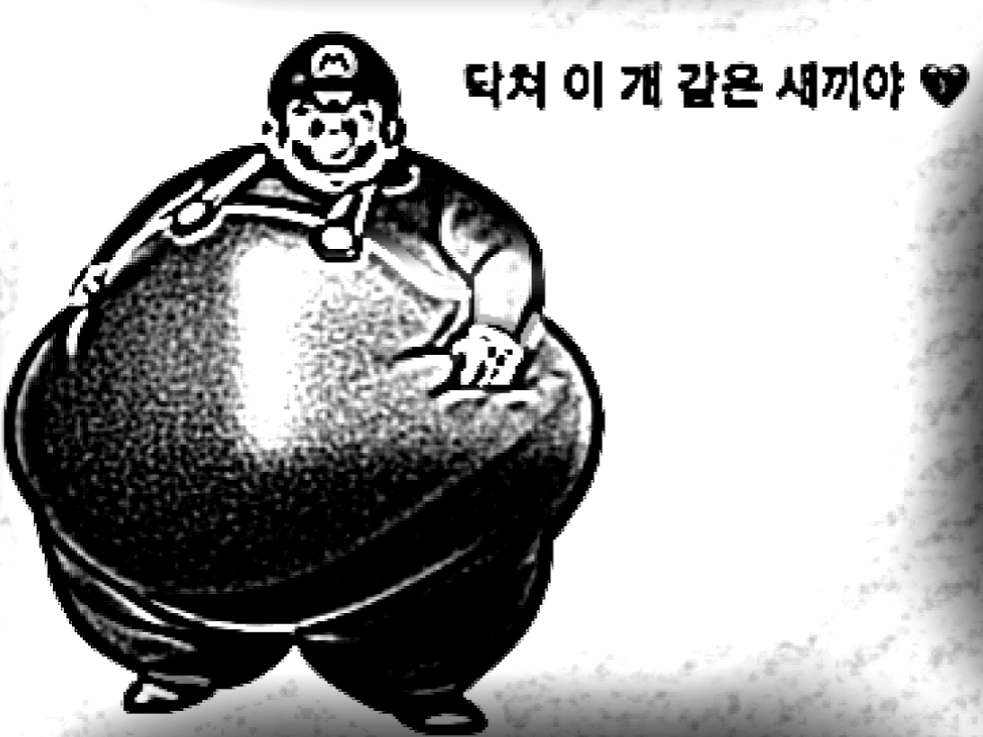 This image shows a fat, grayscaled Mario with the text "Shut up you f------ bastard." in Korean at the top right corner.