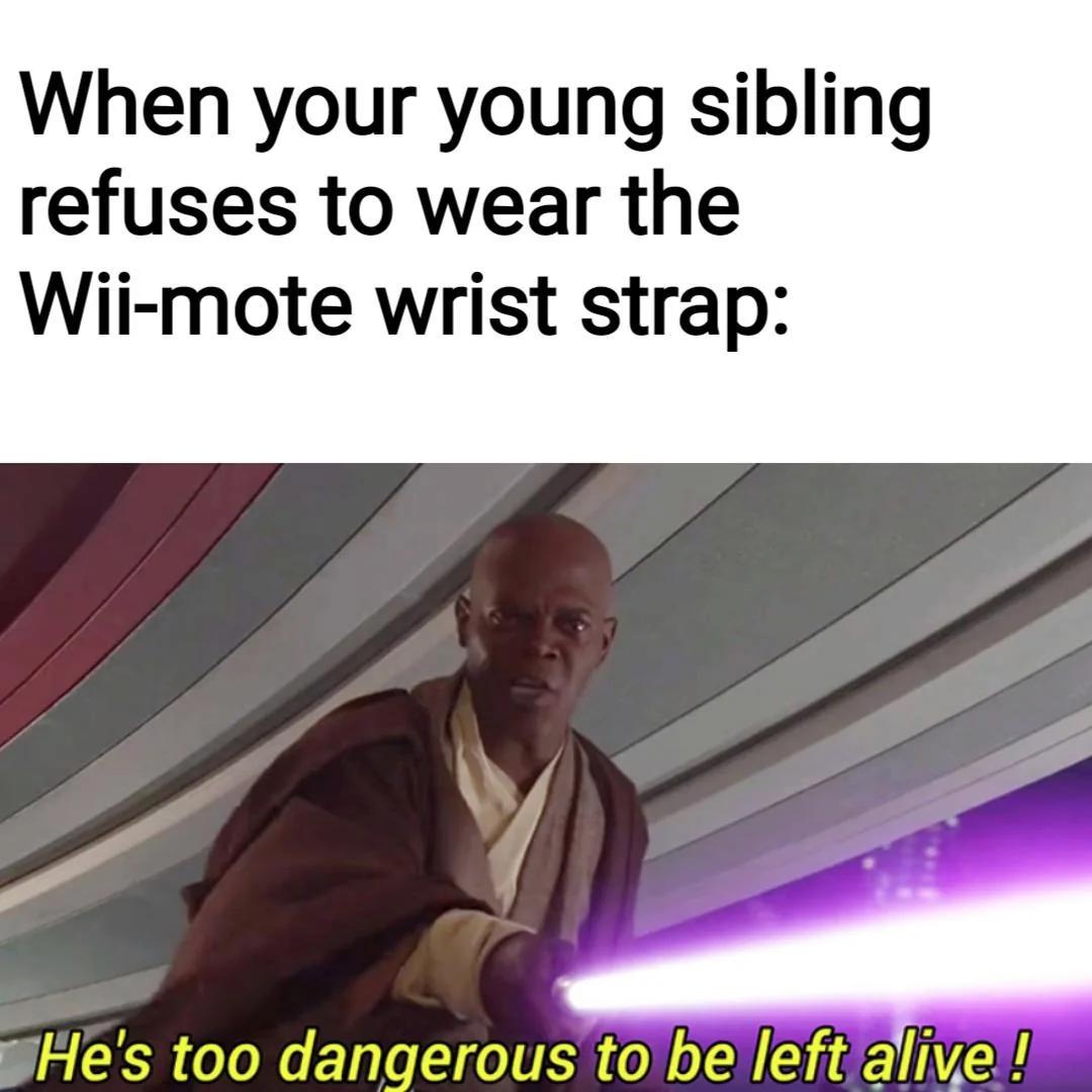When your young sibling refuses to wear the Wii-mote wrist strap: He's too dangerous to be left alive!