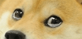 Crying doge has arrived | /r/dogelore