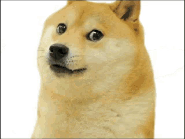 Guudnight dogelore fam many sweet dreams sleep very well much love❤️ | /r/dogelore