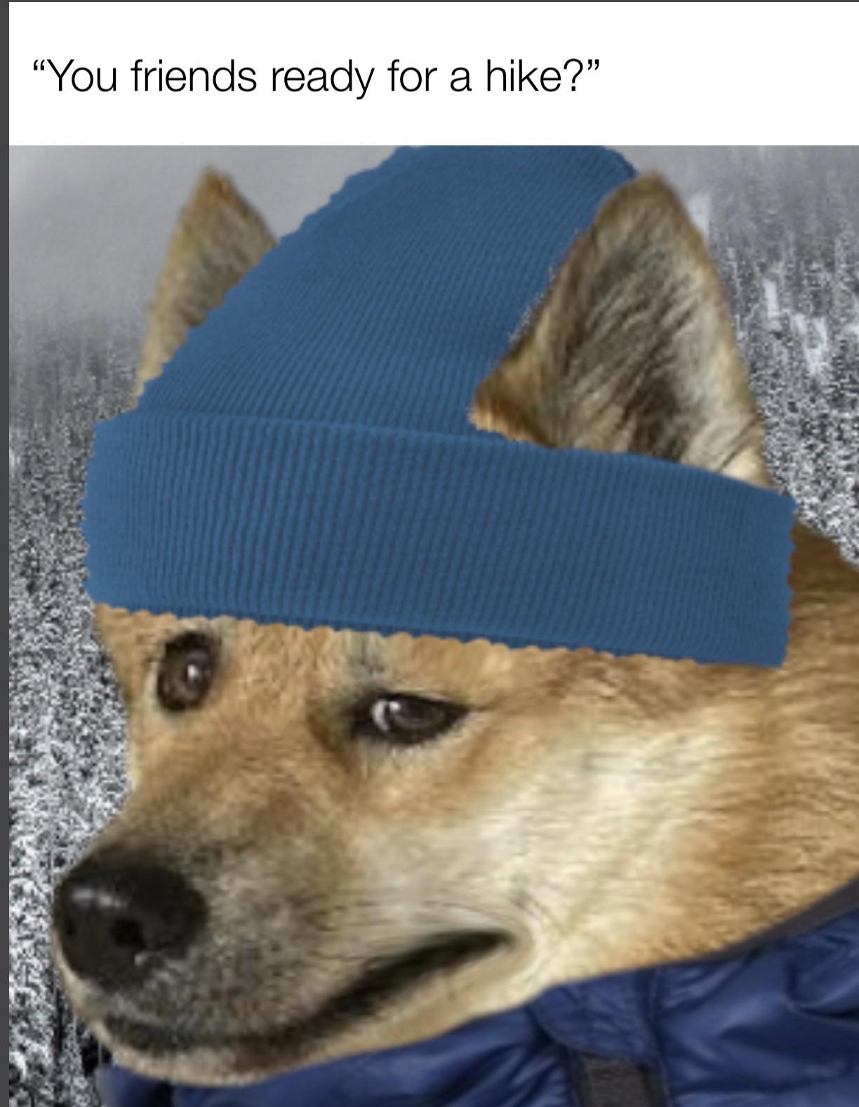 "You friends ready for a hike?"