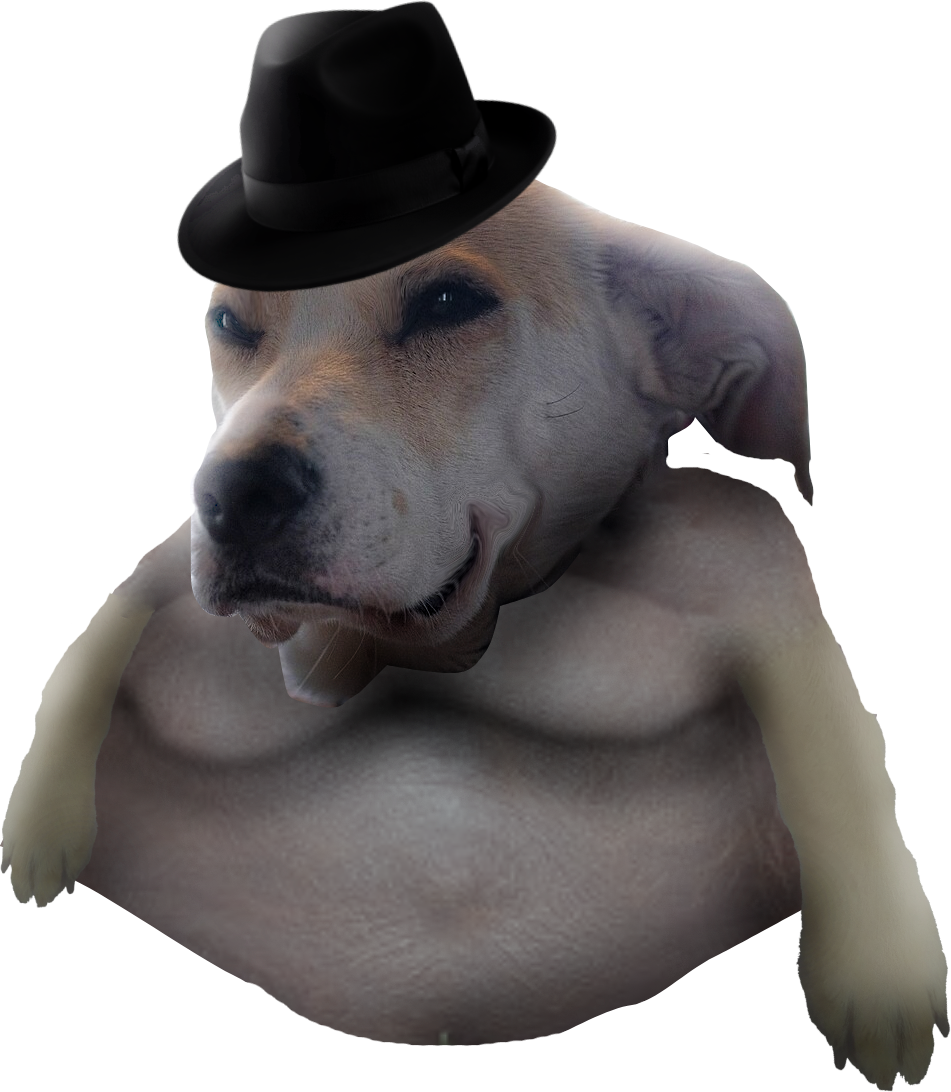 Le Chunky has arrived | /r/dogelore
