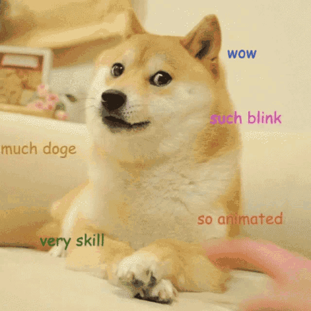 WOW much doge such blink so animated very skill