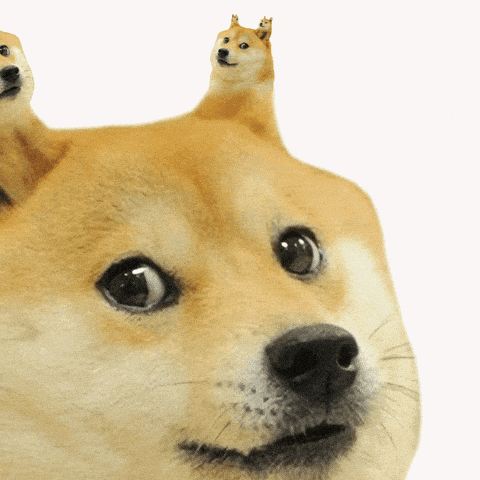 GOODMORNING DOGELORE FAAAM!!!!!! how we feeling today? | /r/dogelore
