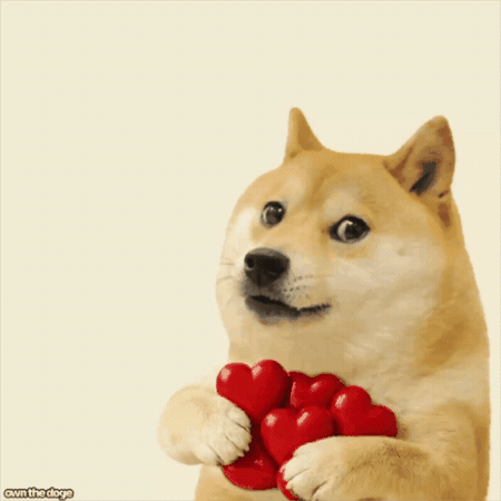 own the doge