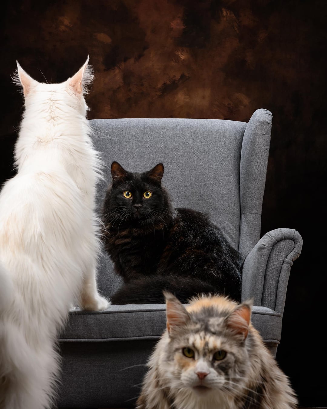 When you walk into the room and immediately realize you’ve interrupted a very important meeting. 