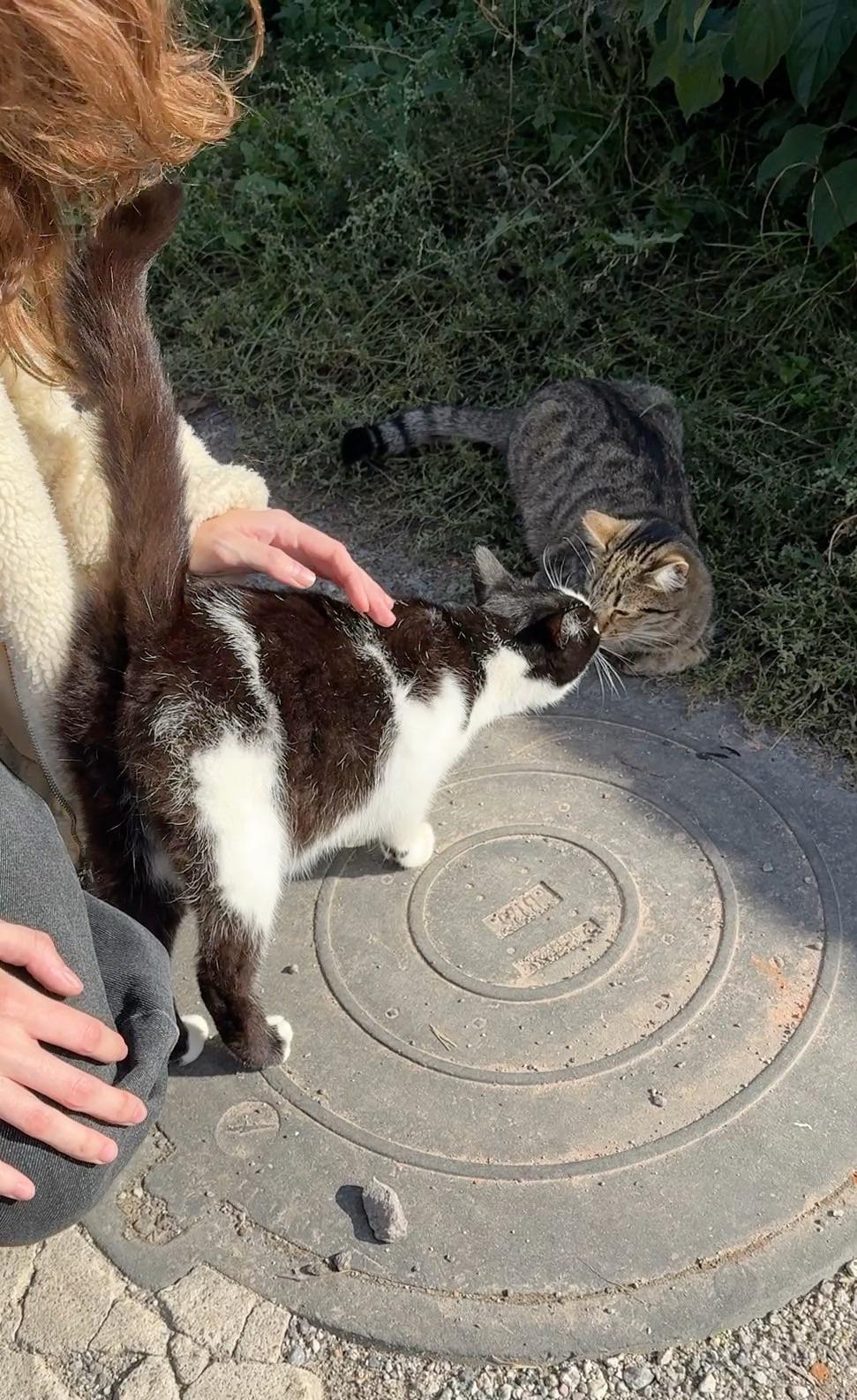 Excuse me, have we met before?