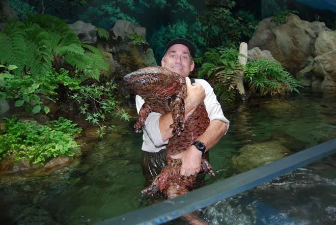 This salamander