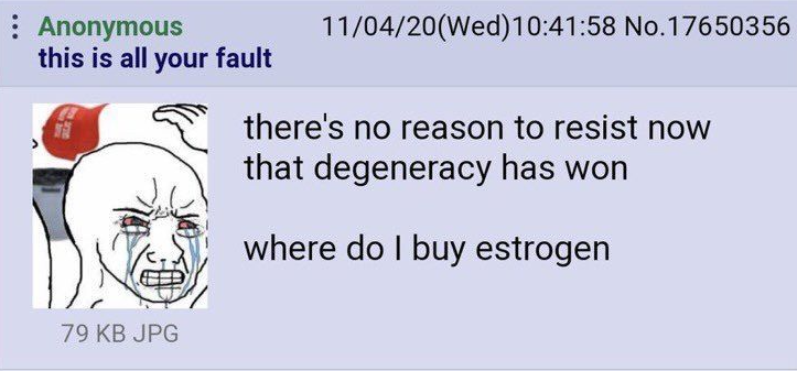 Anonymous this is all your fault 11/04/20(Wed)10:41:58 No. 17650356 there's no reason to resist now that degeneracy has won where do I buy estrogen 79 KB JPG