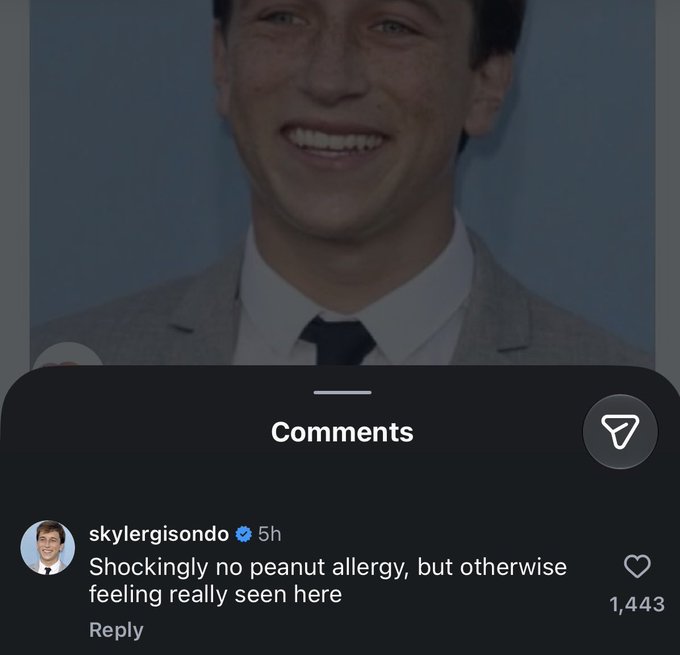 Comments skylergisondo ❤ 5h Shockingly no peanut allergy, but otherwise feeling really seen here Reply ☑ 1,443