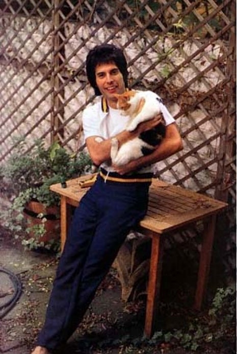  Freddie Mercury posing outdoors at his London home, Garden Lodge, while holding one of his beloved ...