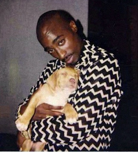 Tupac Shakur holding a small puppy named Player