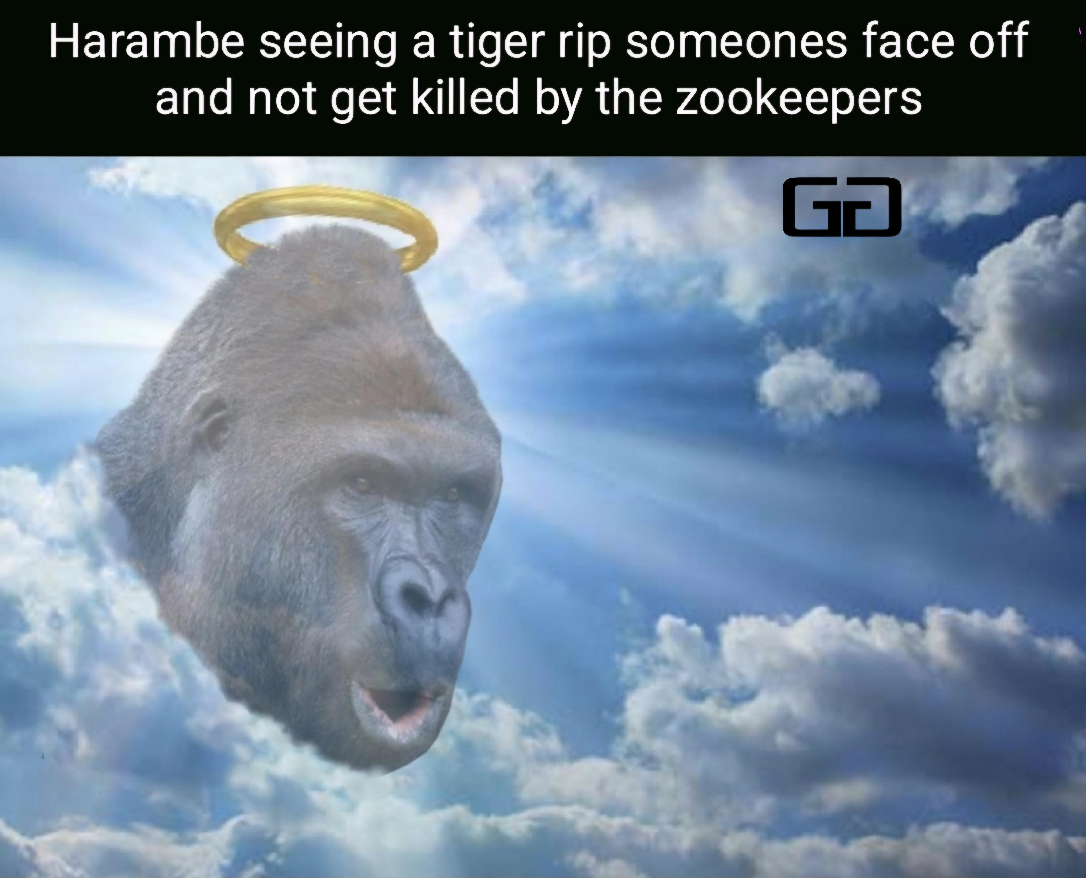 Reddit Gd Icon RIPHarambe | /r/dankmemes | Know Your Meme