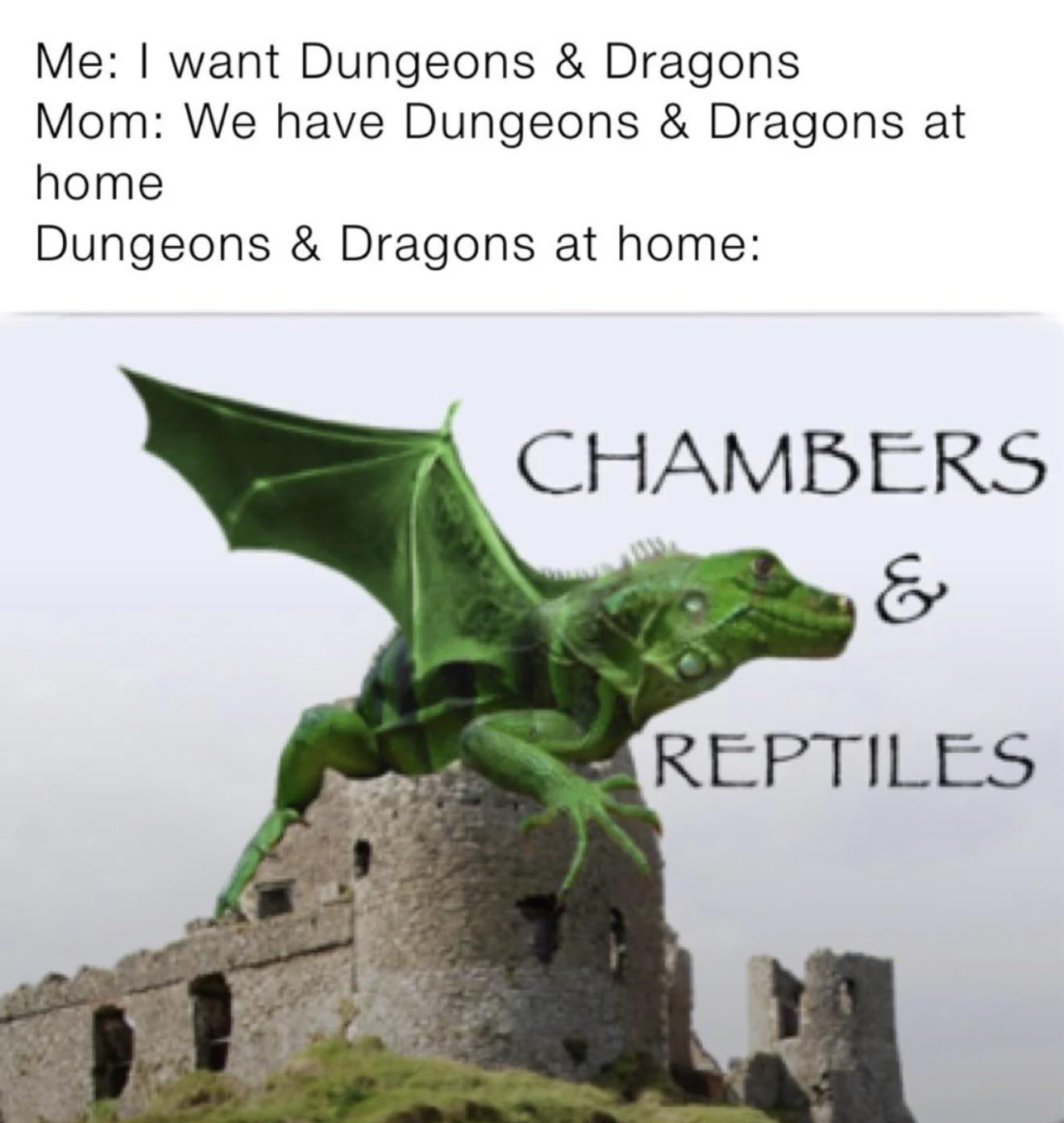 Me: I want Dungeons & Dragons Mom: We have Dungeons & Dragons at home Dungeons & Dragons at home: CHAMBERS & REPTILES