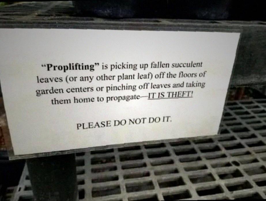 "Proplifting" is picking up fallen succulent leaves (or any other plant leaf) off the floors of garden centers or pinching off leaves and taking them home to propagate-IT IS THEFT! PLEASE DO NOT DO IT.