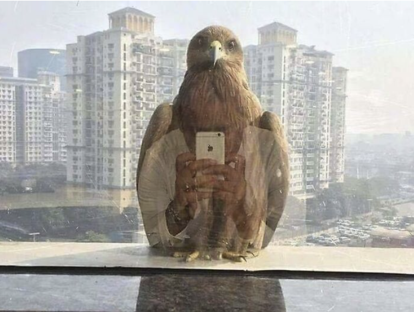 Hey there | Perfectly Timed Photos | Know Your Meme
