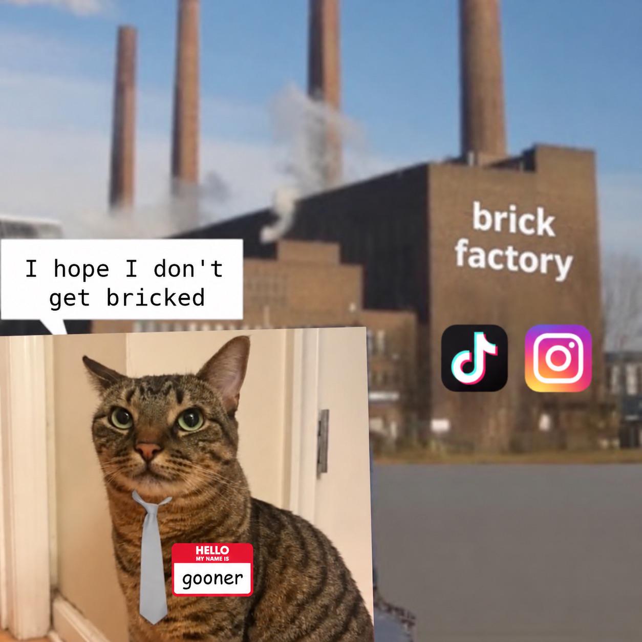 Brick | /r/dankmemes | Know Your Meme