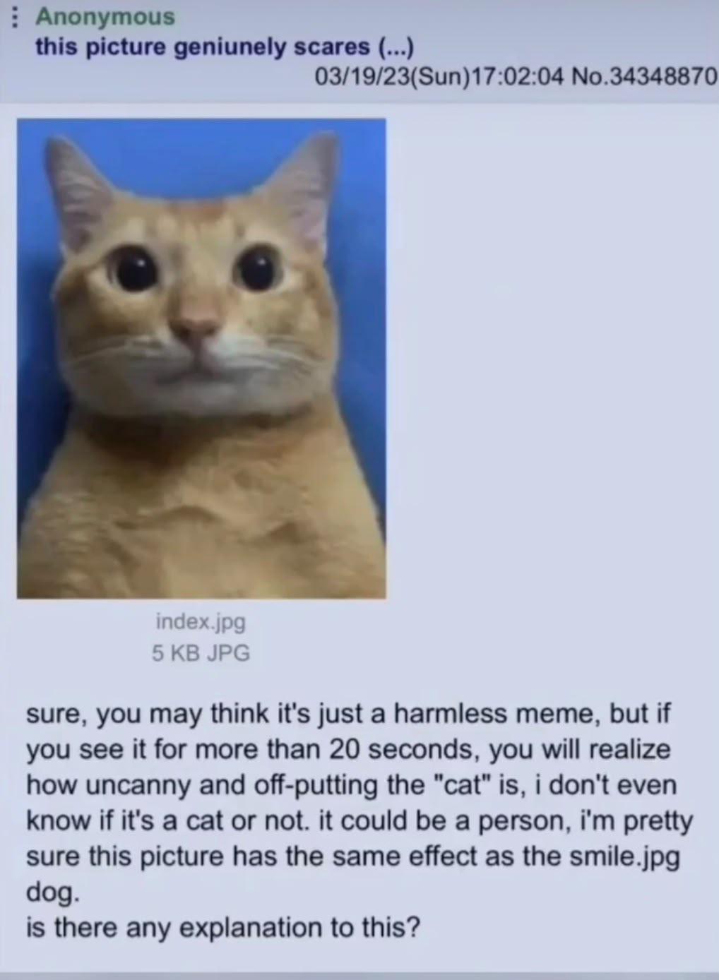 Anonymous this picture geniunely scares (...) 03/19/23(Sun)17:02:04 No.34348870 index.jpg 5 KB JPG sure, you may think it's just a harmless meme, but if you see it for more than 20 seconds, you will realize how uncanny and off-putting the "cat" is, i don't even. know if it's a cat or not. it could be a person, i'm pretty sure this picture has the same effect as the smile.jpg dog. is there any explanation to this?