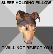 SLEEP HOLDING PILLOW IT WILL NOT REJECT YOU