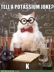 memes-introducing-chemistry-cat.jpg TELLA POTASSIUM JOKE? 2. 2. MILK MEMEBASE.com