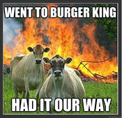 2bd.jpg WENT TO BURGER KING HAD IT OUR WAY quickmeme.co