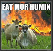 b05.jpg EAT MOR HUMIN quickmeme.co