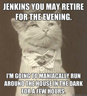 24e.jpg JENKINS YOU MAY RETIRE FOR-THE EVENING. I'M GOING TO MANIACALLY RUN AROUND THE HOUSE INTHE DARK FORA FEW HOURS quickmeme.com