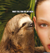 Wait Till You See My D--- WAIT TILL YOU SEE MY D---