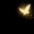 Golden Butterfly