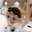 Poop Cats