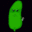 DarthPickley